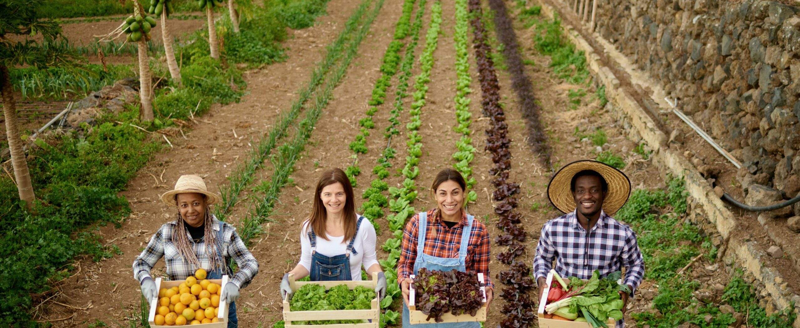 cuatro personas sosteniendo cajas con frutas y verduras de productos locales en la granja de Clemente Colom Baix Maestrat