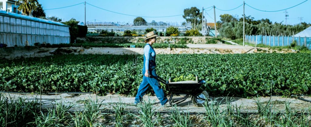 persona empujando una carretilla en cultivos sostenibles de la granja de Clemente Colom Baix Maestrat